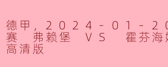 德甲，2024-01-20 德甲联赛 弗赖堡 VS 霍芬海姆，正赛，高清版
